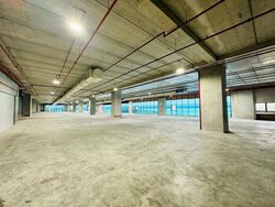 Suites 123 (D8), Warehouse #575776111